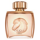 Lalique Pour Homme Equus Eau de Parfum