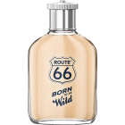 Route 66 Herrenduft Eau De Toilette Born Wild