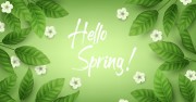 Hello Spring - Blätter